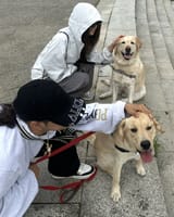 tarzzan bailey with ft. annie&#039;s dogs