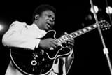 bbking4773
