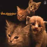 stoogescats