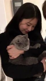 min kitty