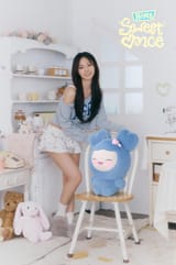 FANS_1744210903492