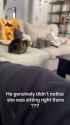 4Cat-1942072122601599410-01_thumb.jpg