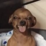 GNvDvOFXoAAh3pl