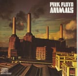 animals