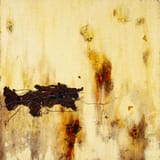 Wound