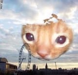 hey