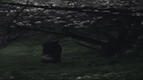 Thread 127120130 OP Image