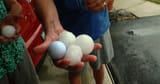 Hail-From-Lonsdale