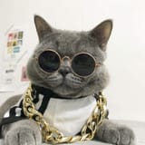 Thread 127127486 OP Image