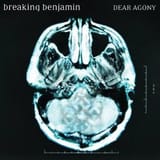 Breakingbenjamindearagony