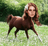 lana del neigh