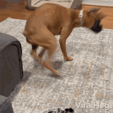 weeee