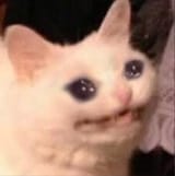 1561998303817