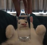 1742885987782208