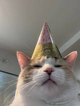 1748431424516