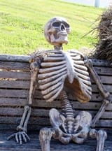 Skeleton-on-bench-meme-pdwk2