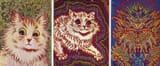 LSD Cat