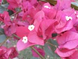 IMG_20250716_164114165