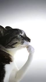 885