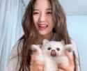 jiwoo dog dance watchv=moRCIDqfhfo-[01.09.669-01.12.039]_thumb.jpg