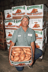 WE_20SELL_20OUR_20SWEET_20POTATOES