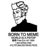 1748668240340527