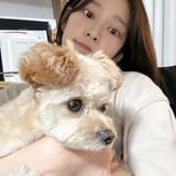 minmin doggo