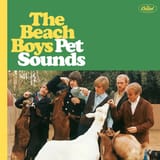 The-Beach-Boys-Pet-Sounds-Review