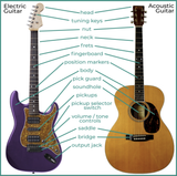 Guitar-parts-electric-acoustic-1024x1020