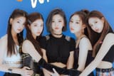 itzy 239