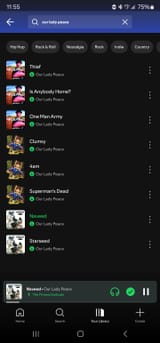 Screenshot_20250802_235545_Spotify