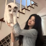 [2024.07.24] 想崽了 #发条微博送清凉##夏日青春派对# [w] (1)
