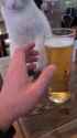 🍺❌_thumb.jpg