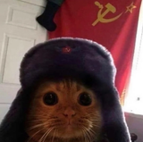 Thread 127289029 OP Image