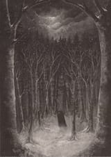 Paysage d’Hiver - Im Wald