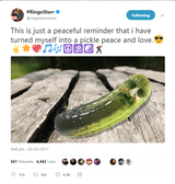 1508800496289
