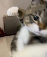 vbgwdykg3dbf1