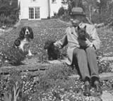 edward-elgar-and-dogs