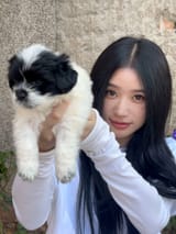 [2024.09.28] 可爱 [w] (2)