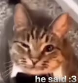 wink