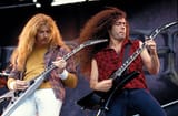 friedman mustaine