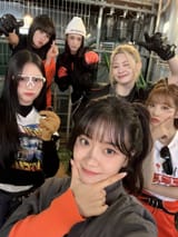 the korean workforce