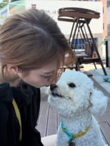 yeojin._.o_x 527597729_17958939332970890_1320253702817842985_n