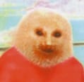 peatior griffin