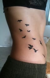 PRS-Birds