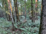 IMG_0169
