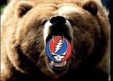 GD Bear Slewfoot