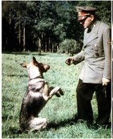 hitler-and-dog