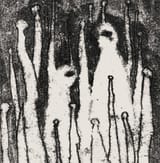 a1484596011_10