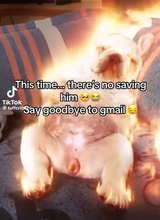 Gxg6G_4WsAAXVxW